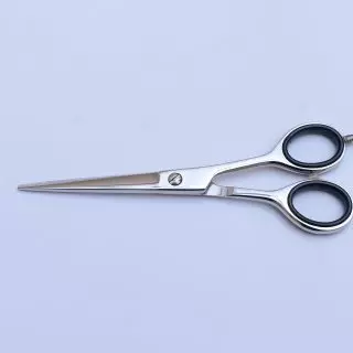 Professional Human or Animal Hair Scissors